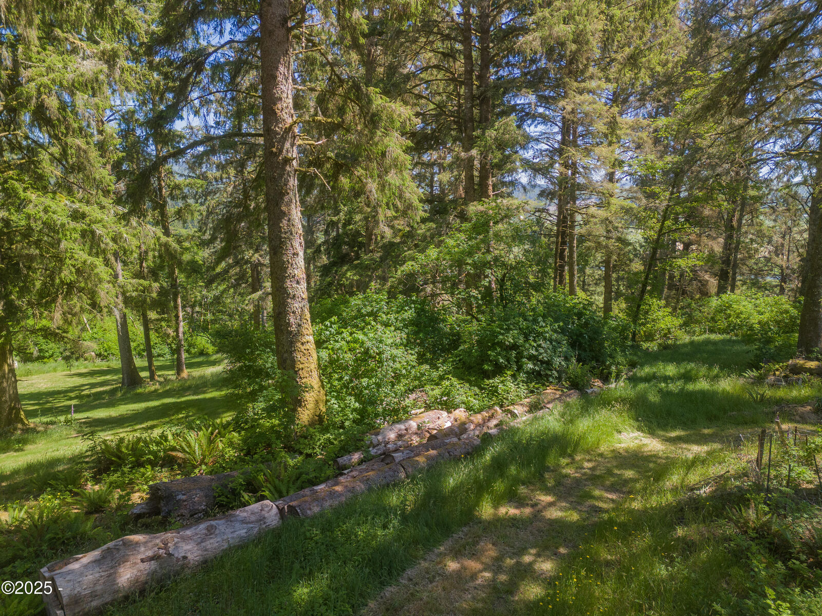 Property Photo:  Lot 1503 Tax Map  #5S10050001503  OR 97112 