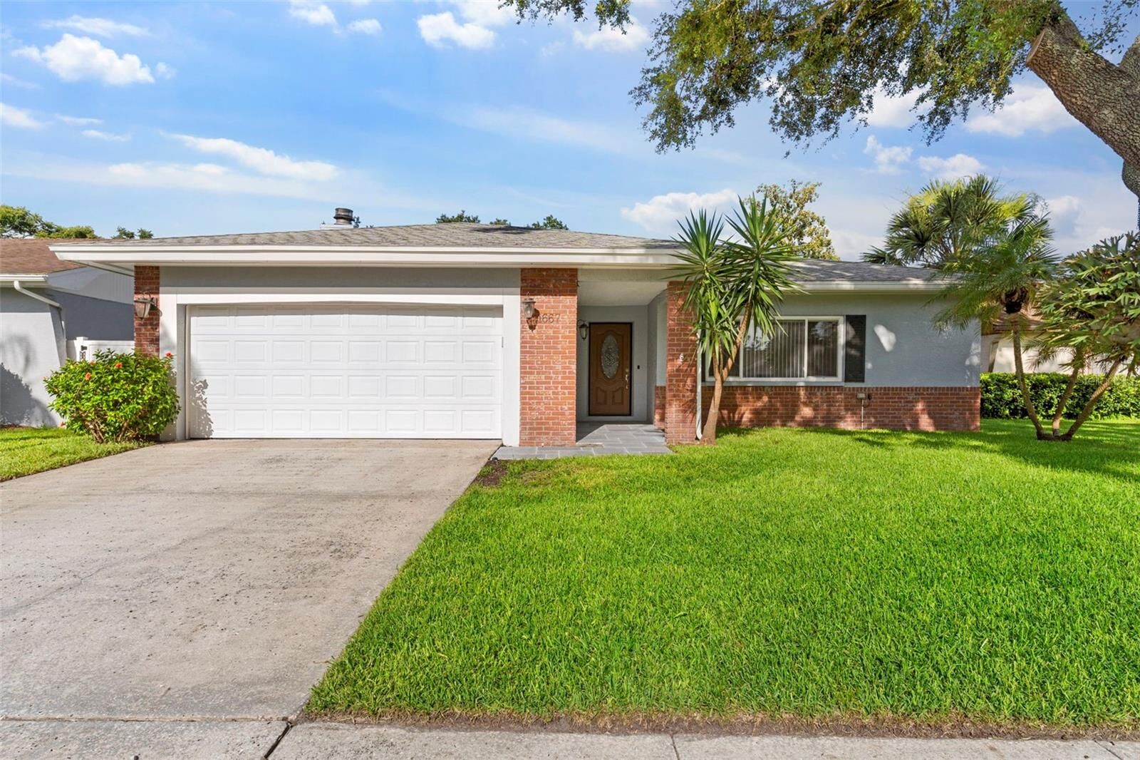 Property Photo:  1667 E Orangeside Road  FL 34683 
