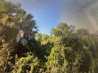 Property Photo:  7154 Freeberg Circle  FL 33981 