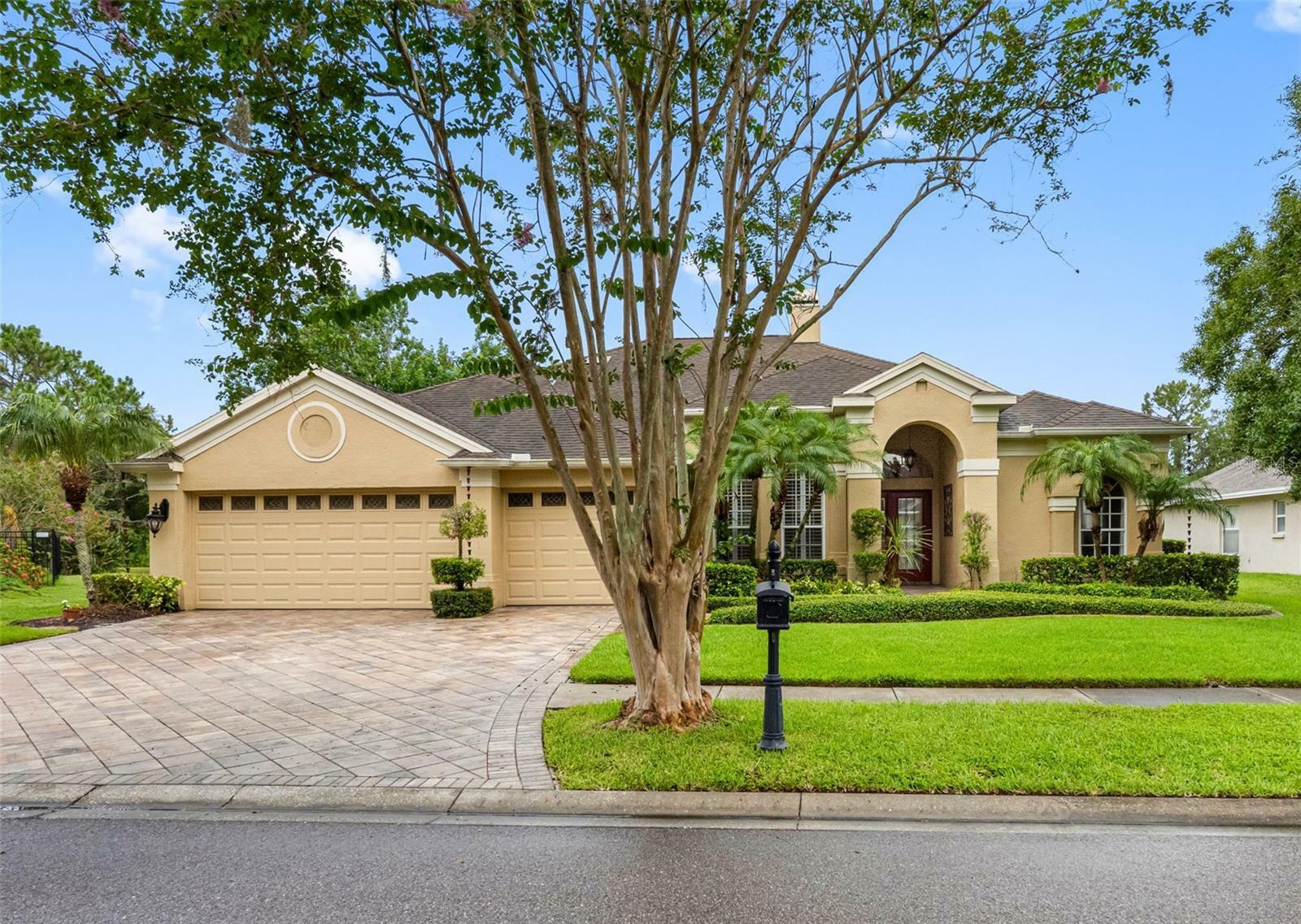 12439 Bristol Commons Circle  Tampa FL 33626 photo
