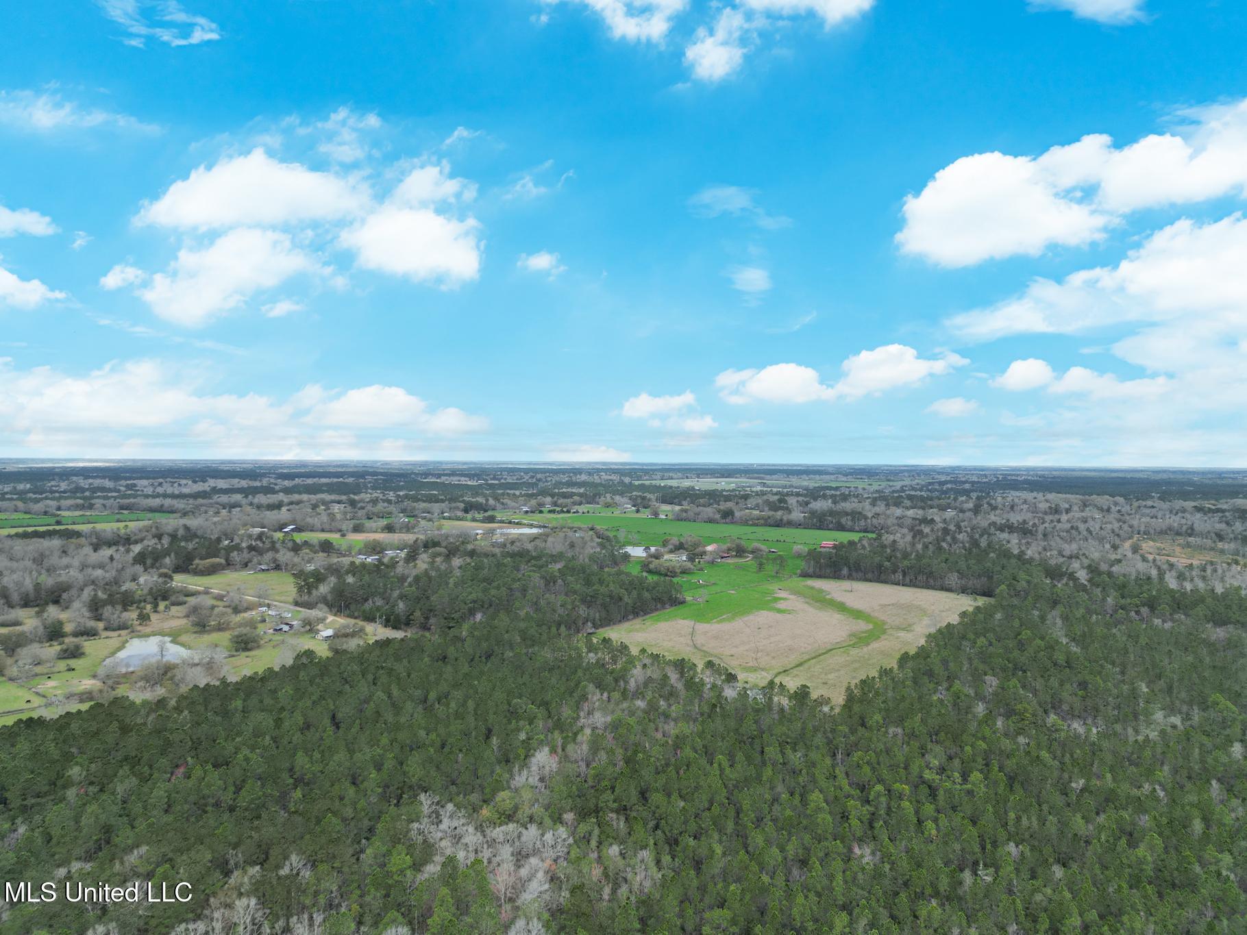 Property Photo: Highway 43 Parcel 1 And 2 MS 39556