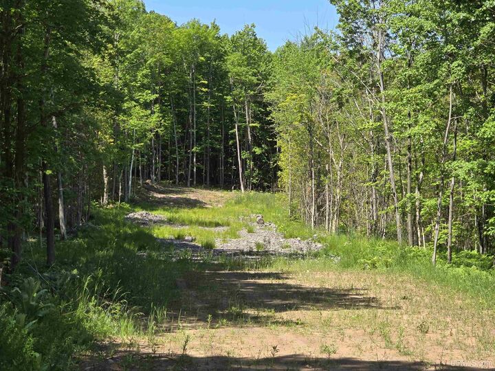 Property Photo:  1506 Sugar Maple Lane  MI 49931 