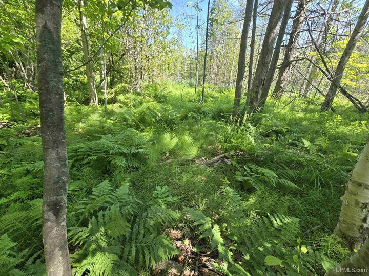 Property Photo:  1504 Sugar Maple Lane  MI 49931 