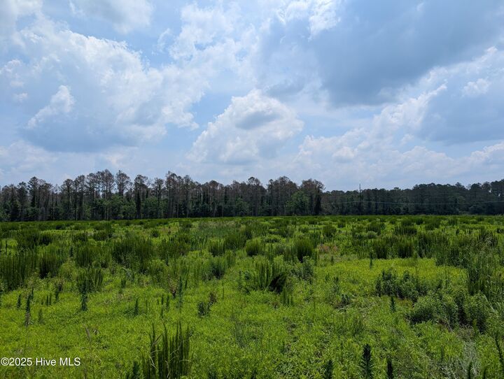 Property Photo: 000 Cedar Fork Road NC 28518