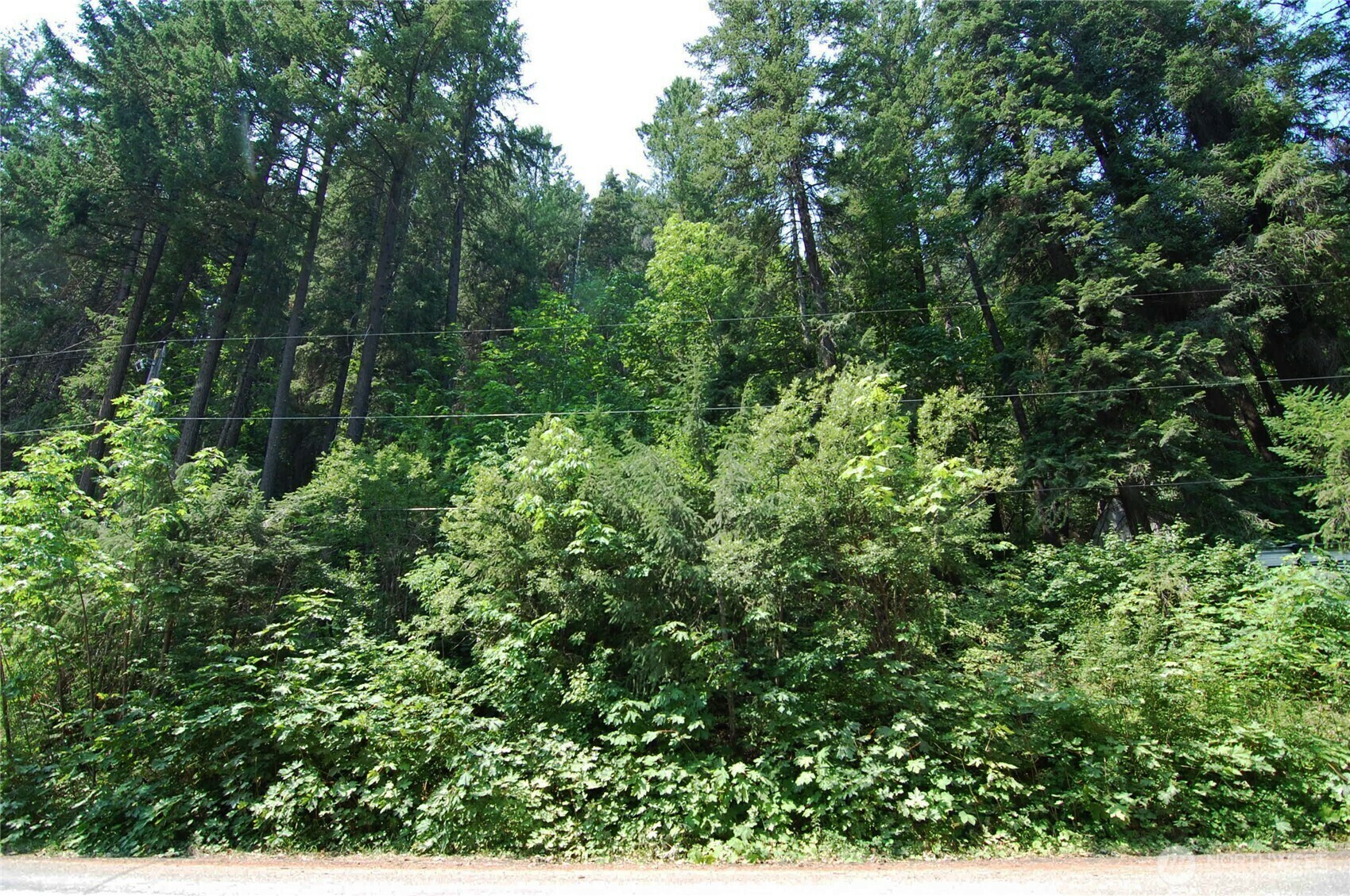 Property Photo:  3252  Hansel Lane  WA 98847 