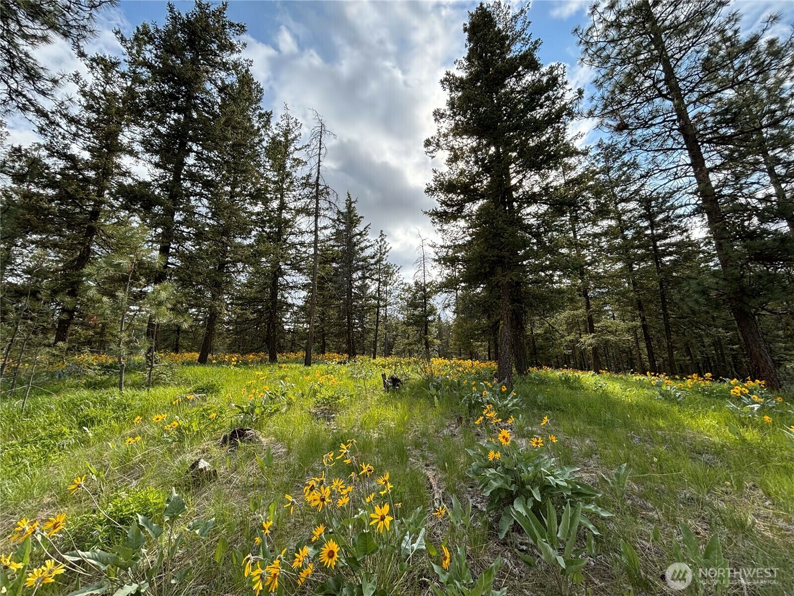 Property Photo: 0 Nhn Watson Lane WA 98816