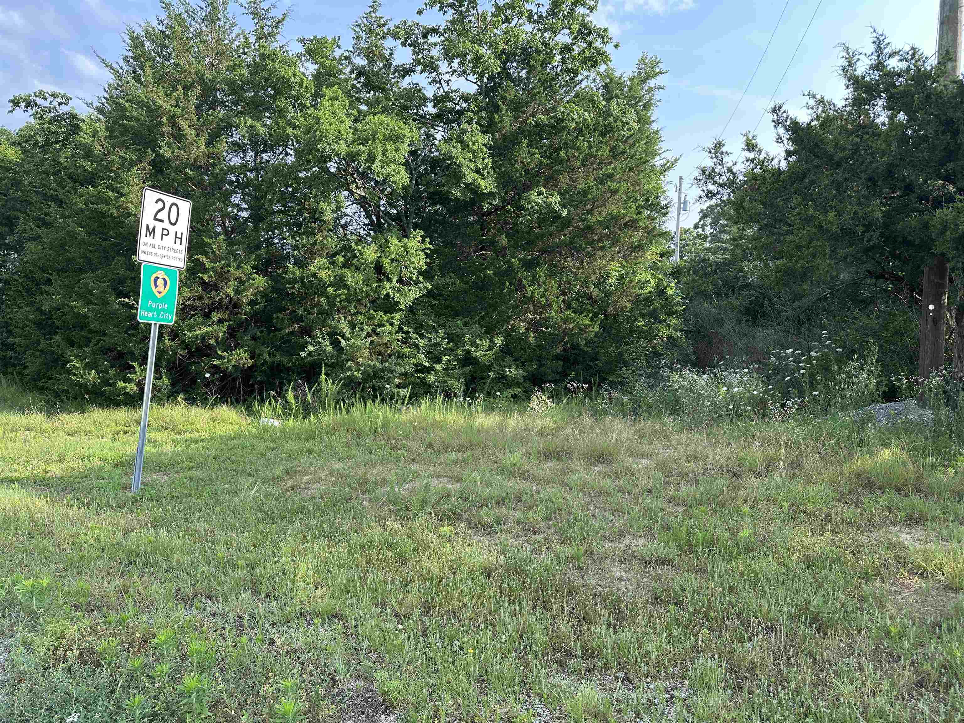 Property Photo: 000 Hwy 62B AR 72634