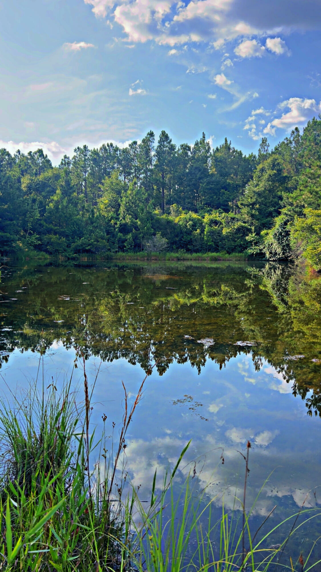 Property Photo:  363 Acres Fl-85  FL 32567 