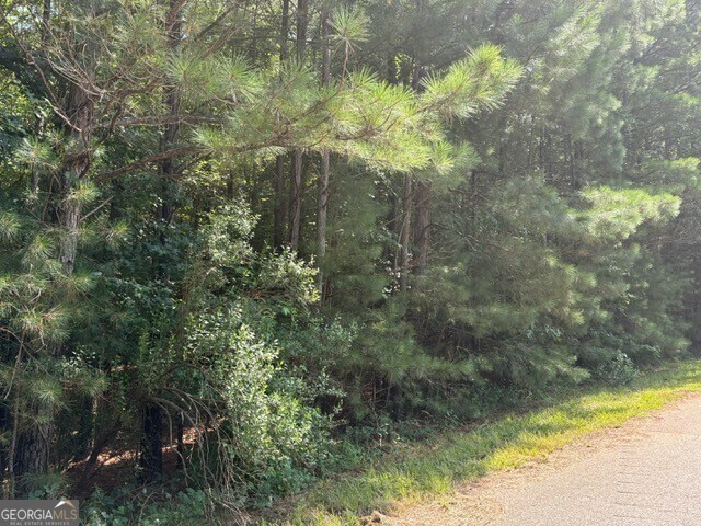 Property Photo:  0 Amanda Court  GA 30222 