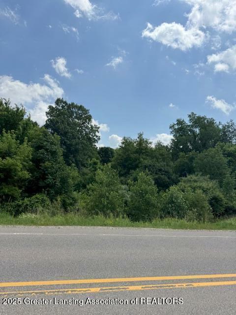 Property Photo: 0 Eager Road MI 48855