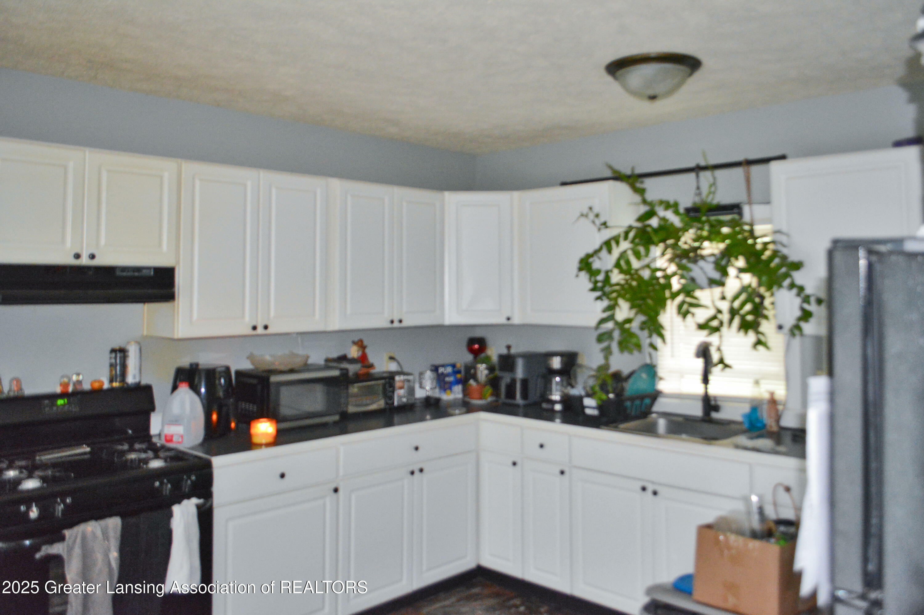 Property Photo:  320 Lake Street  MI 48827 