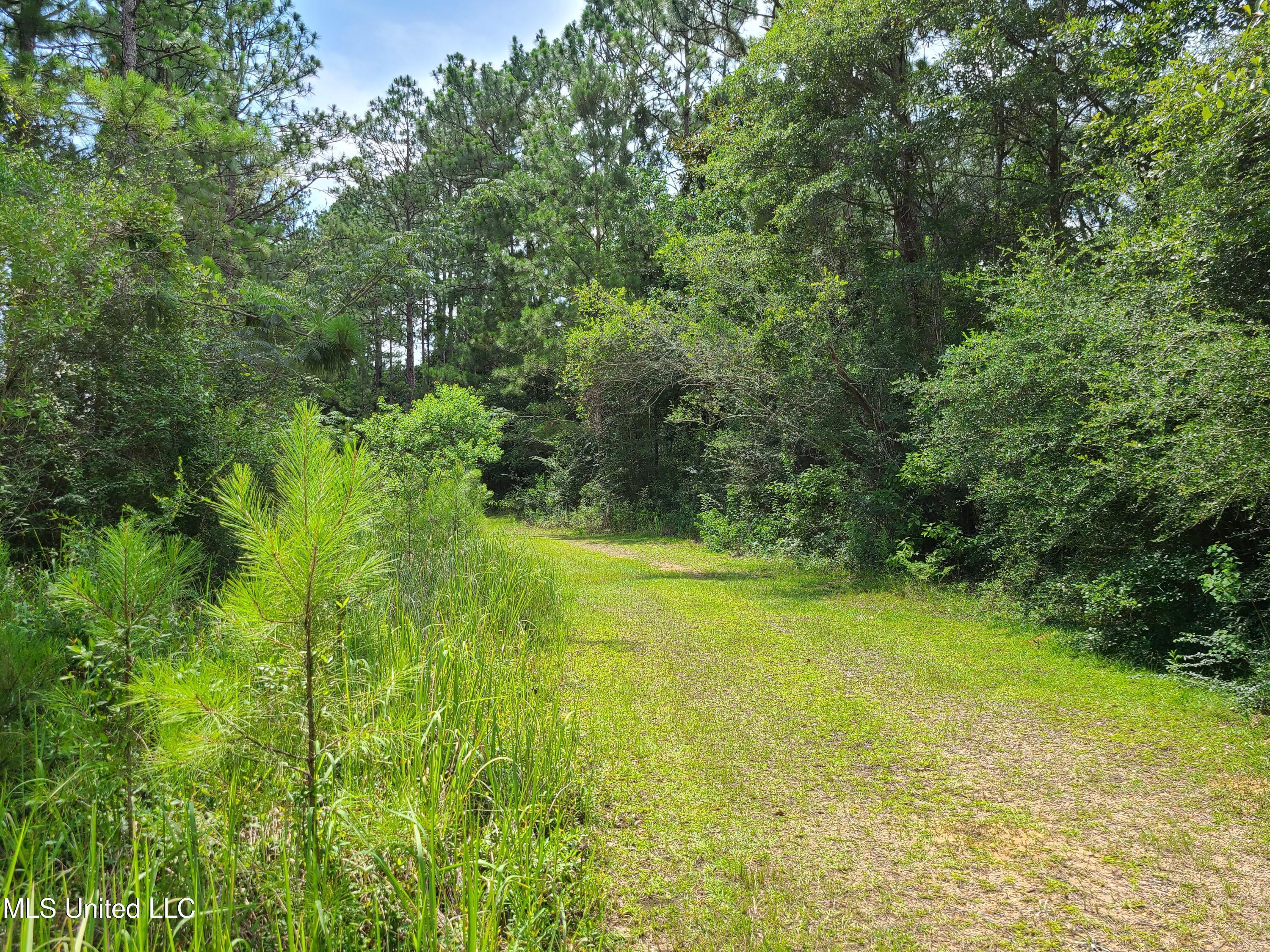 Property Photo: Hwy 612 MS 39452