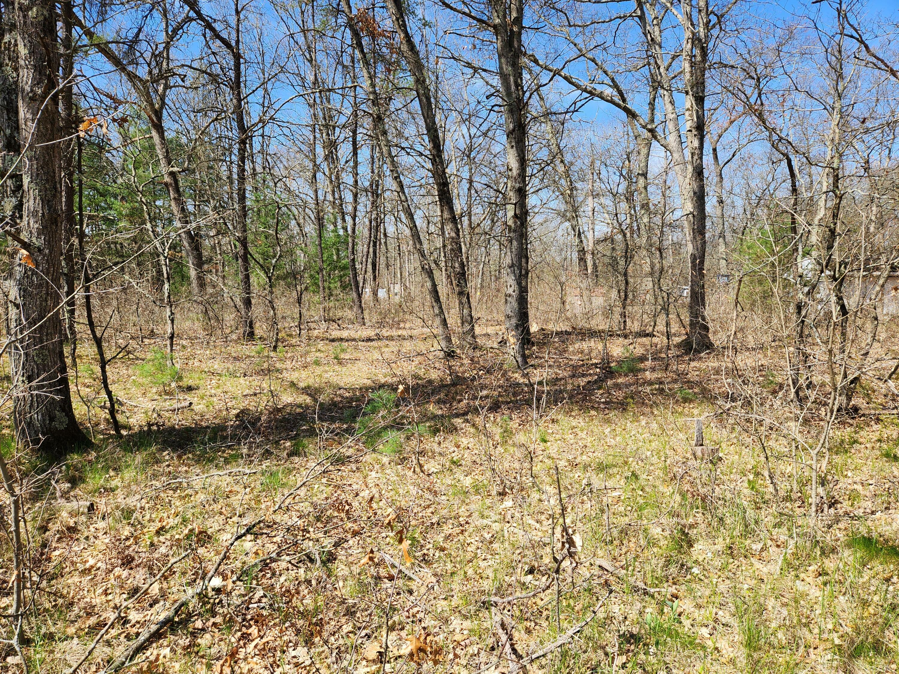 Property Photo: Tbd S Princeton Way Avenue MI 49304