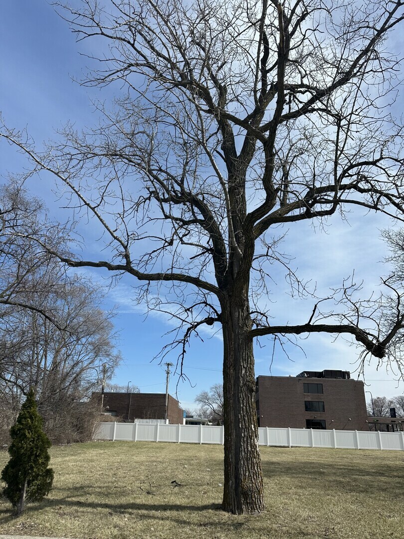 8003 S Oconto Avenue  Bridgeview IL 60455 photo