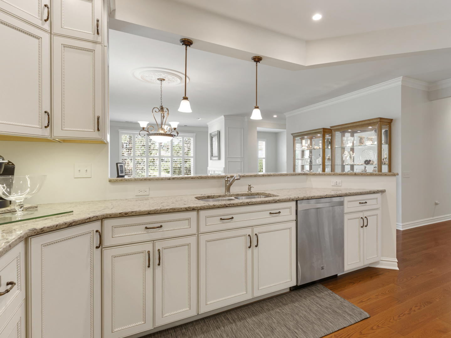 Property Photo: 13023 Dearborn Trail IL 60142