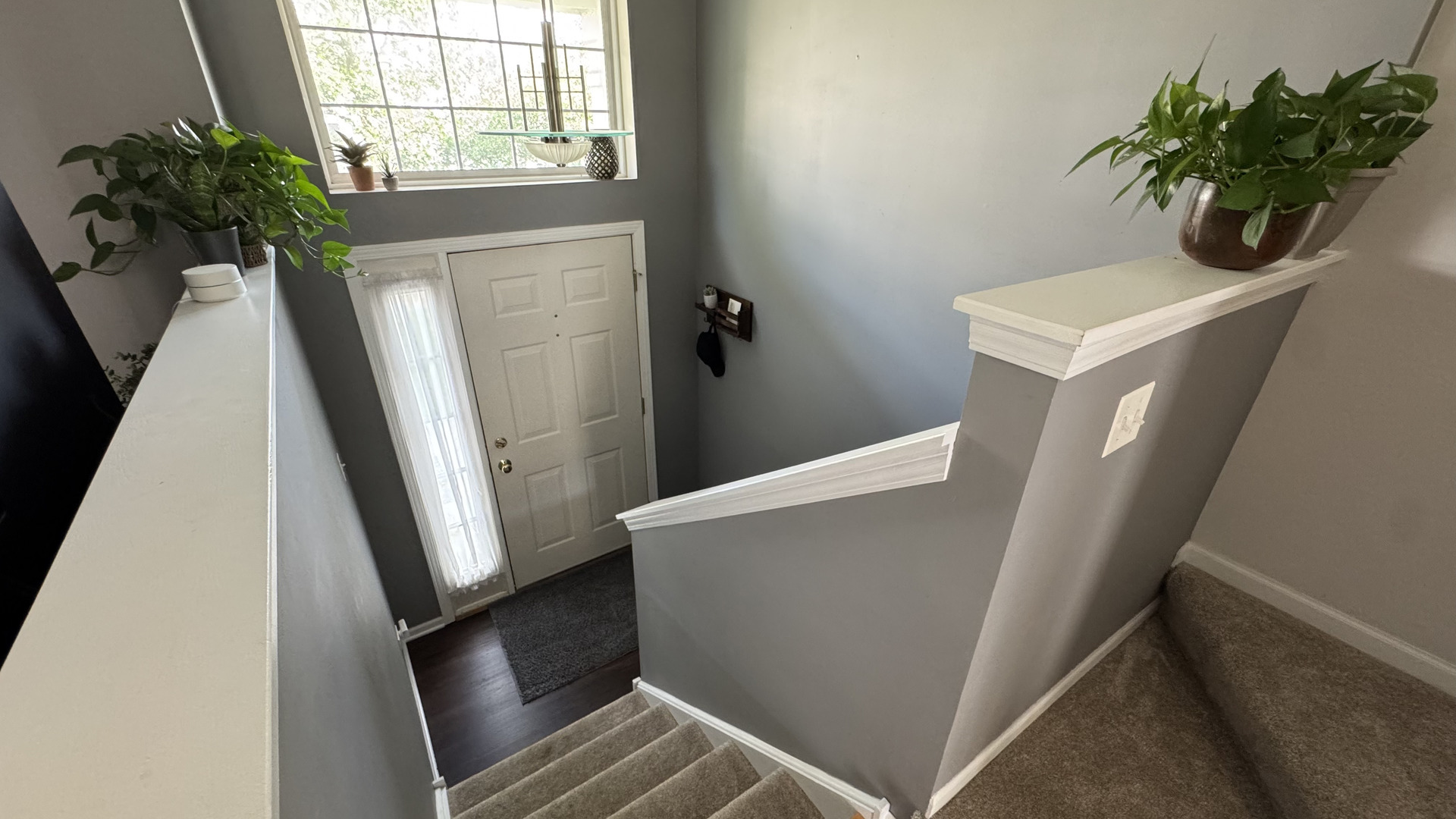 Property Photo:  904 Clover Lane  IL 60140 