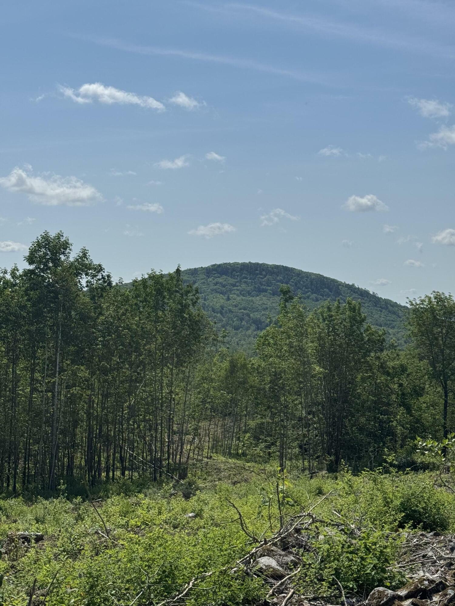 Property Photo:  365 Monroe Road  ME 04496 