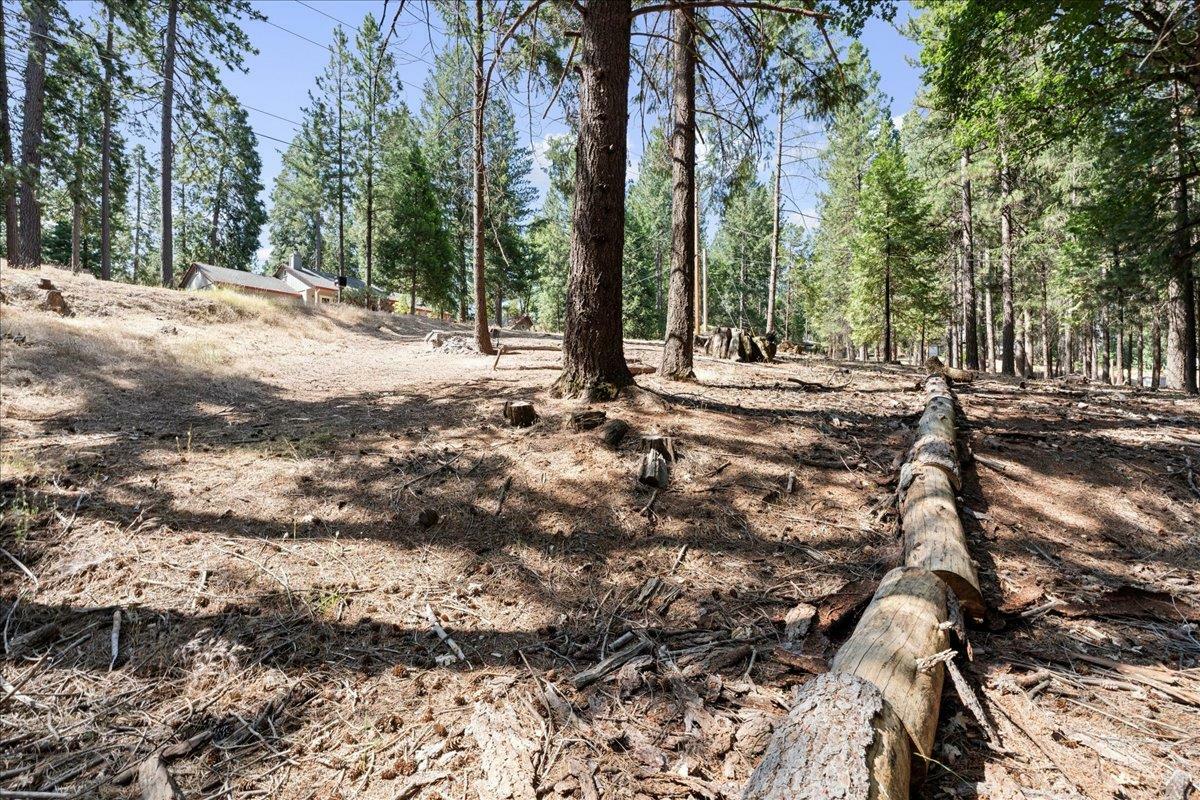 Property Photo: 5521 Begonia Drive CA 95726