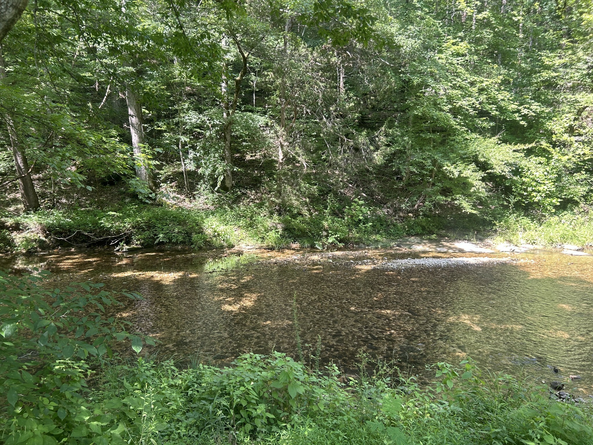 Property Photo: 1775 Old Beech Creek Rd TN 38485