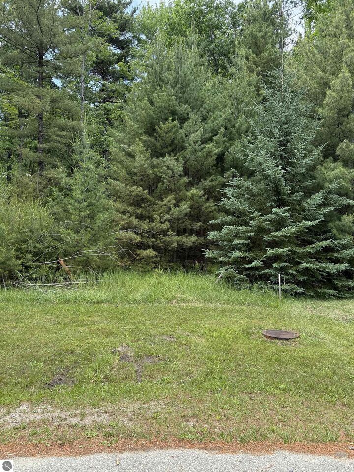 741 Manning Lane  East Tawas MI 48730 photo