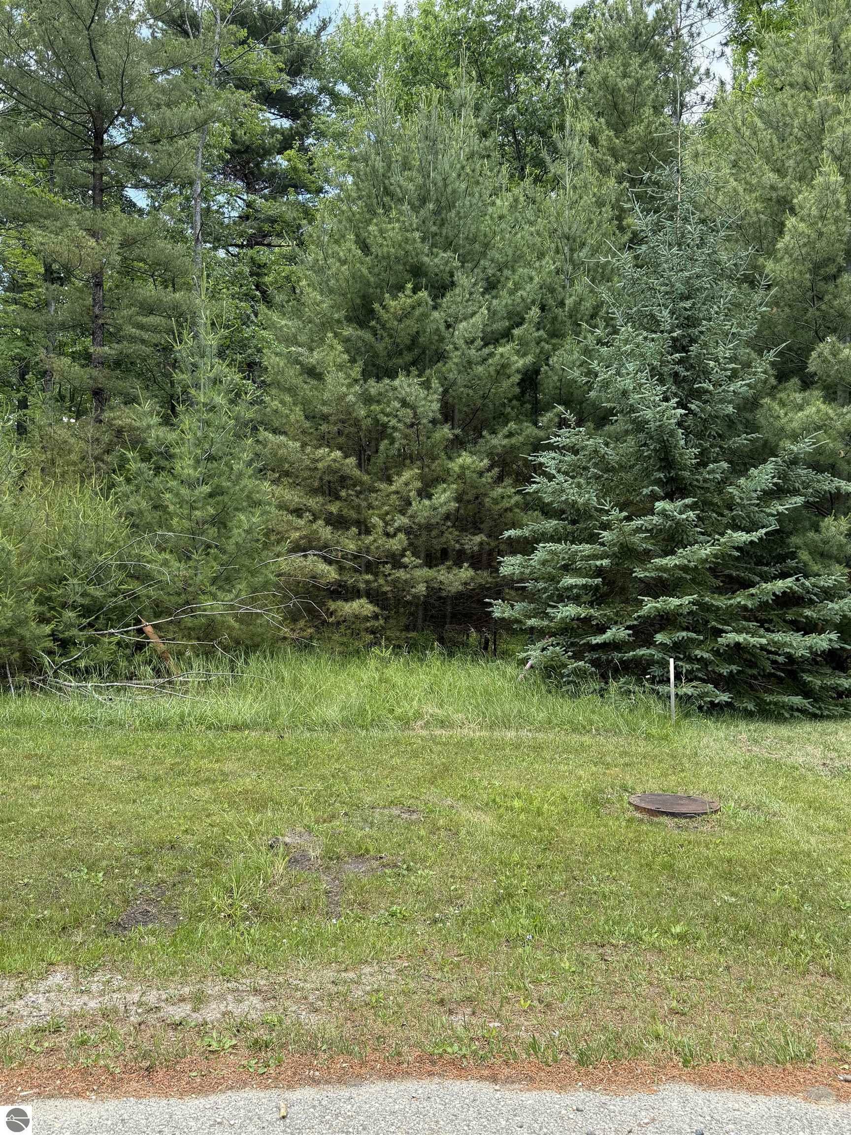 Property Photo: 741 Manning Lane MI 48730
