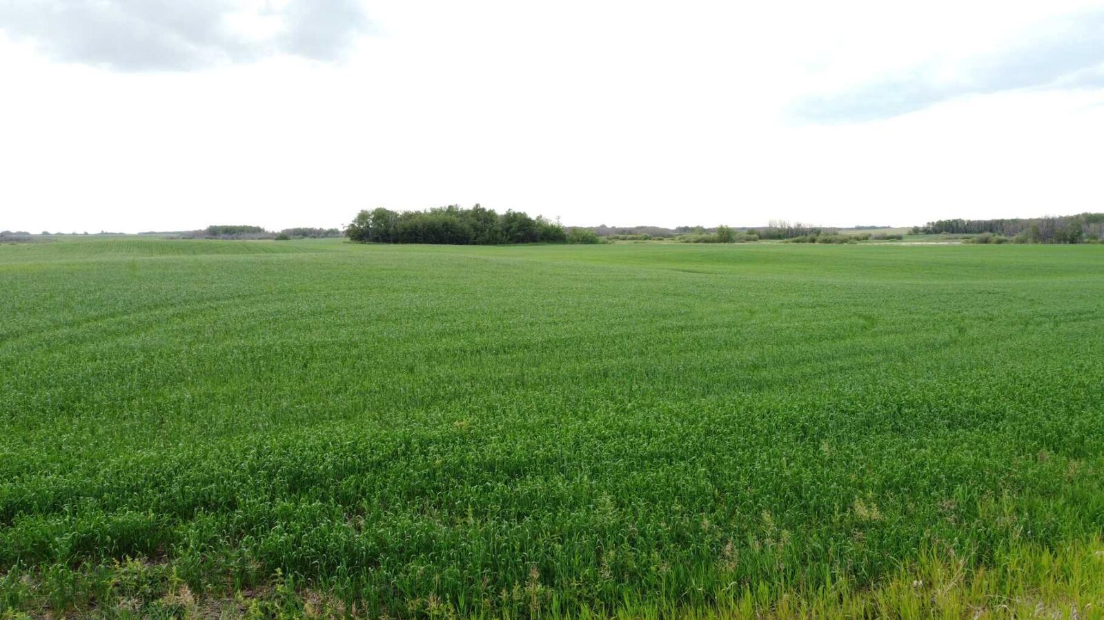 Property Photo: 163 Range AB T0B 0H8