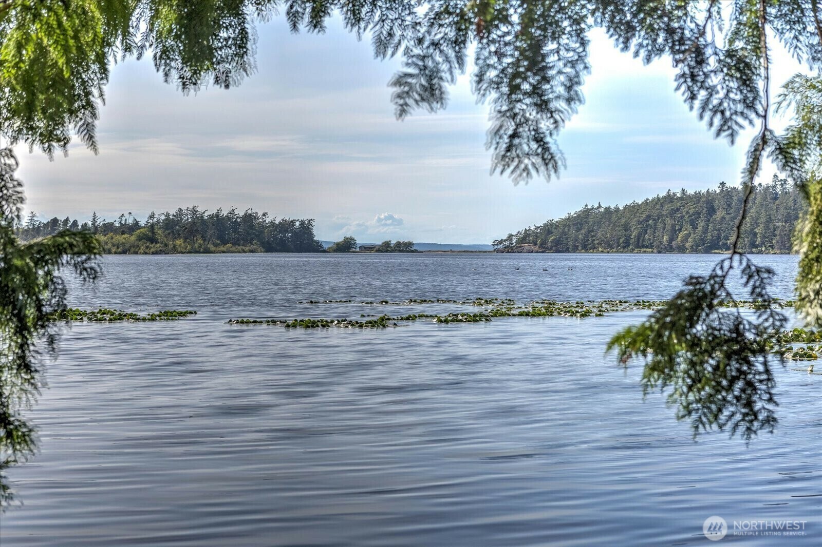 Property Photo: 4904 Deception Circle WA 98277