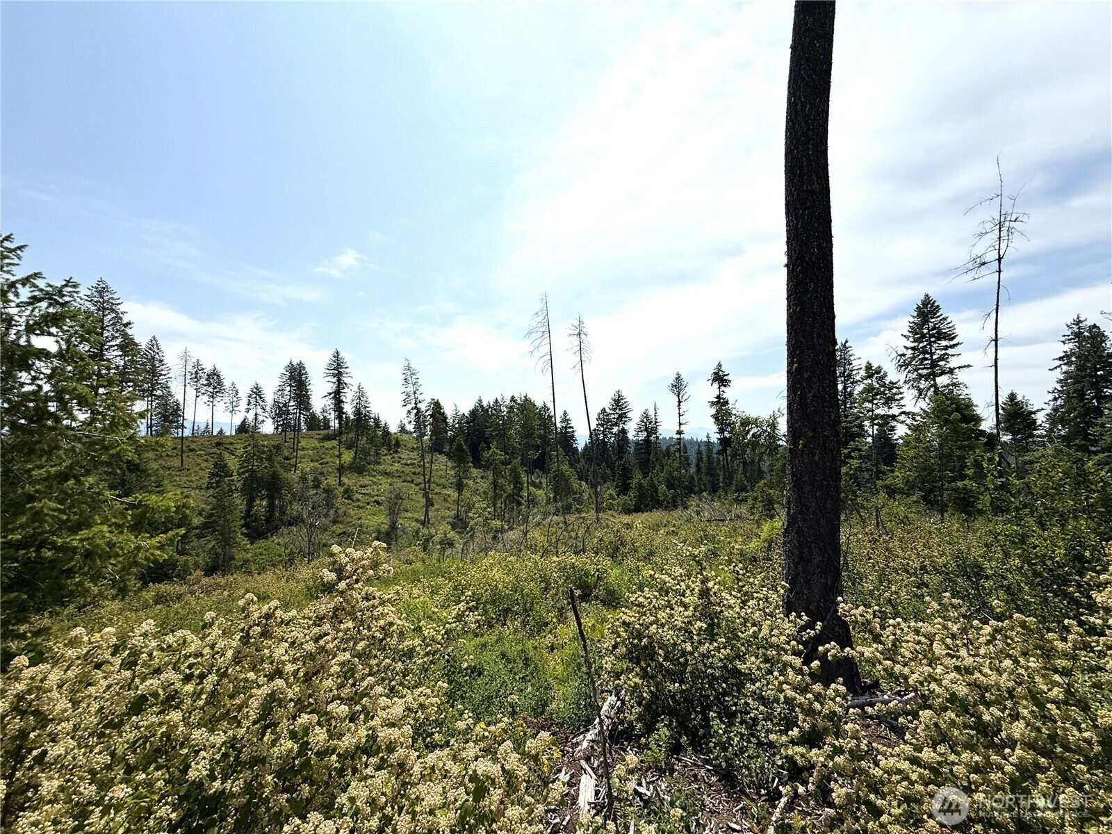 Property Photo:  0 Lot 1  Rockabye Lane  WA 99118 