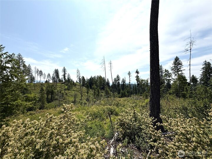 Property Photo:  0 Lot 1  Rockabye Lane  WA 99118 