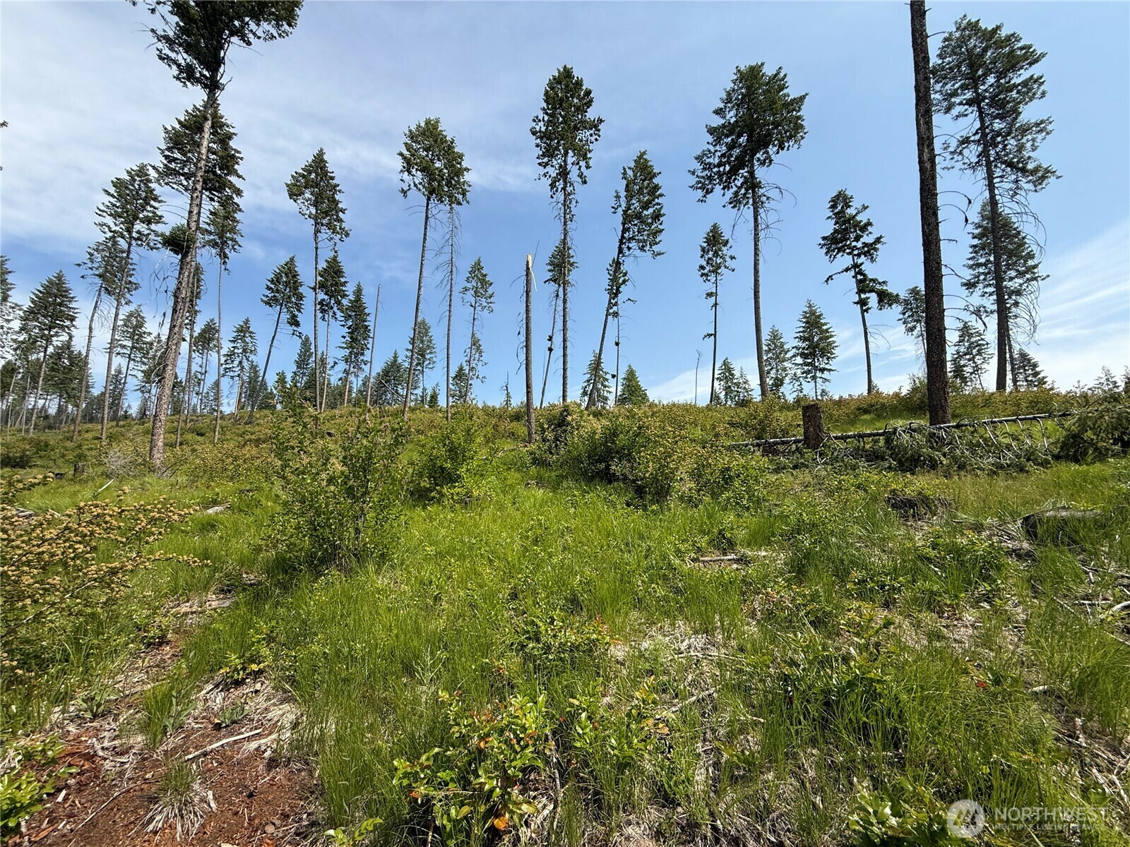 Property Photo:  0 Lot 2  Rockabye Lane  WA 99118 