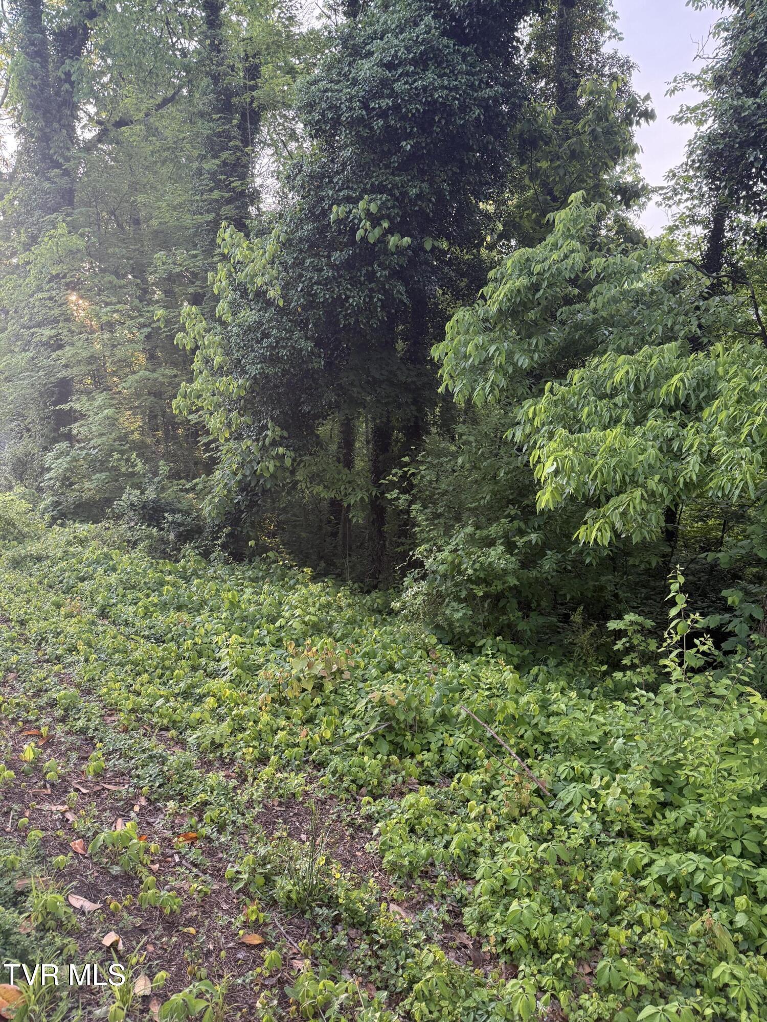 Property Photo: Lot 16 Ashley Street TN 37664