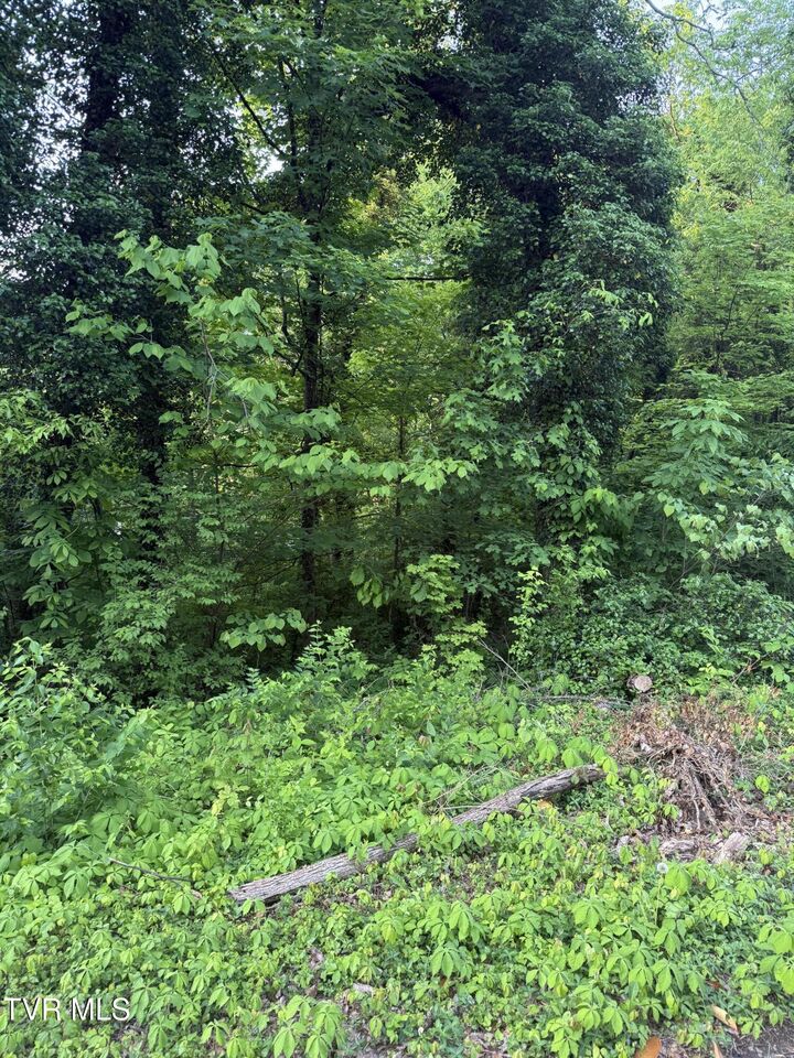 Lot 15 Ashley Street  Kingsport TN 37664 photo