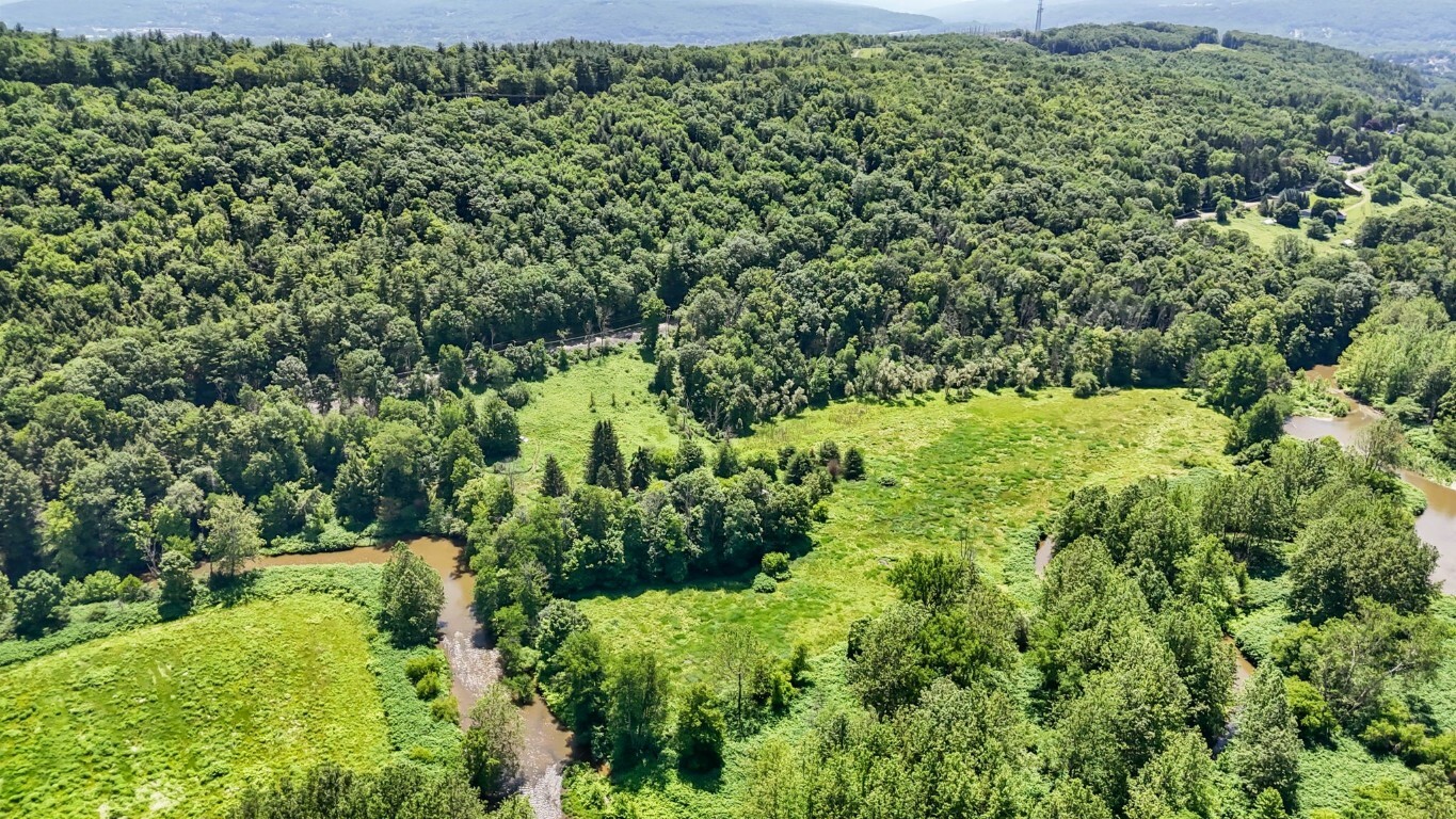 Property Photo:  1517 Nanticoke Dr. Drive  NY 13760 