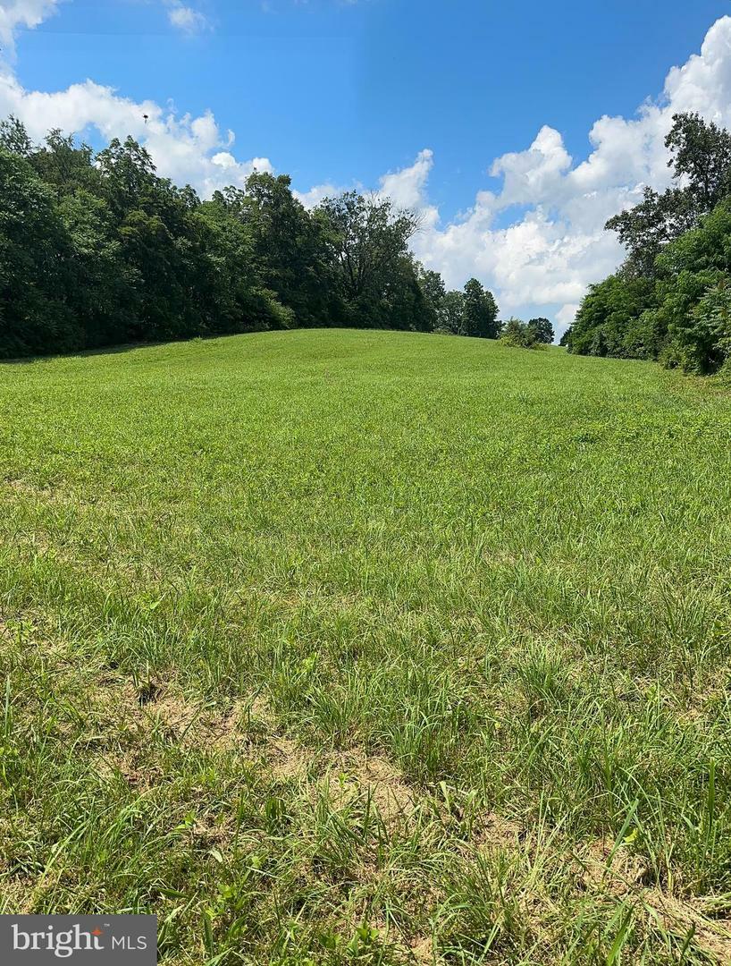 Property Photo: Lot B 4661 Middle Road VA 22602