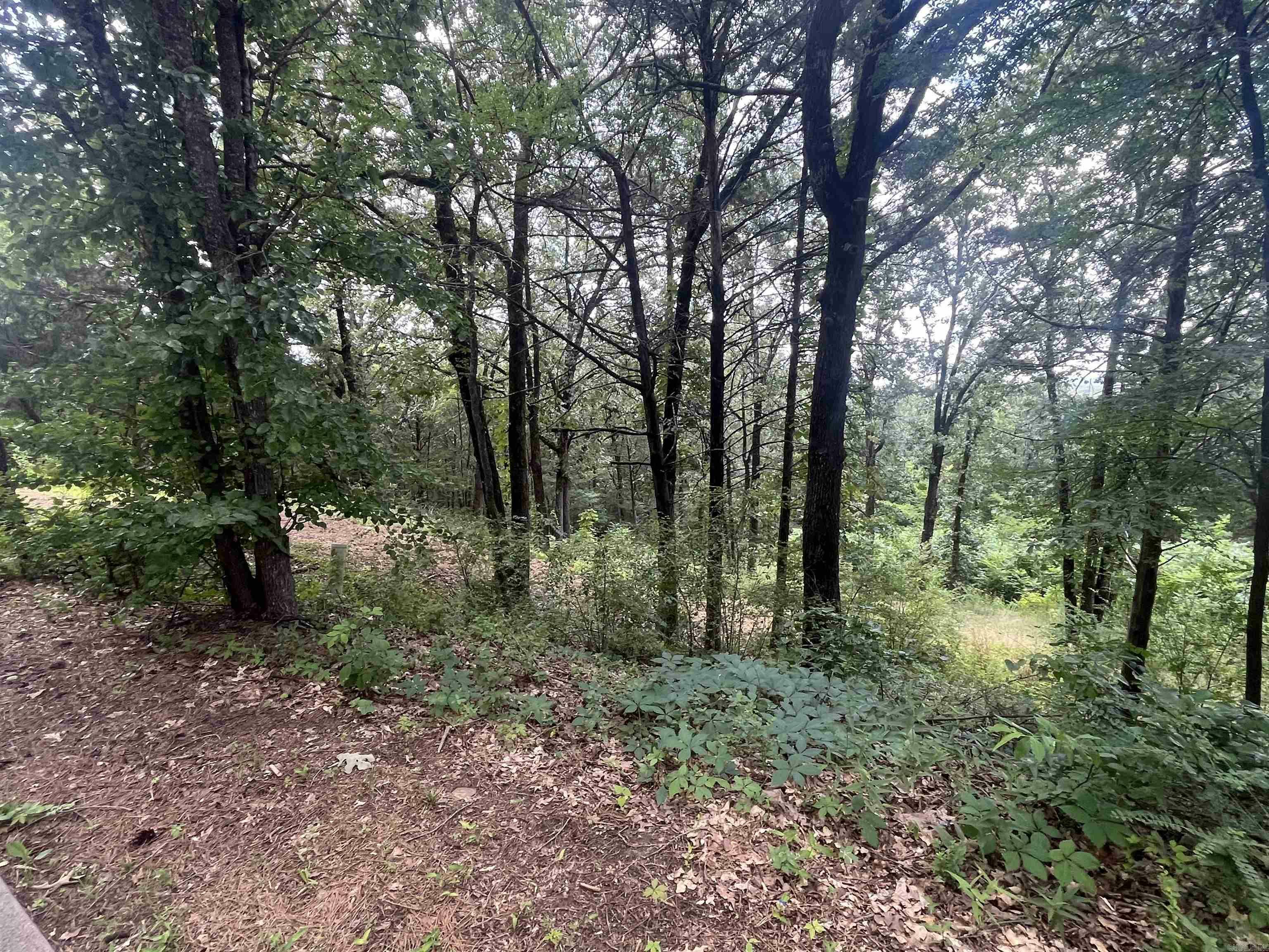 Property Photo: