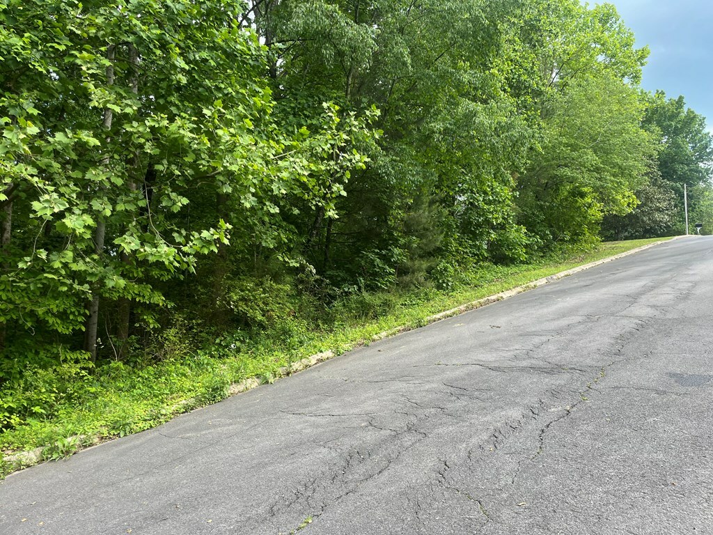 Property Photo: 0 Belgian Drive GA 30720