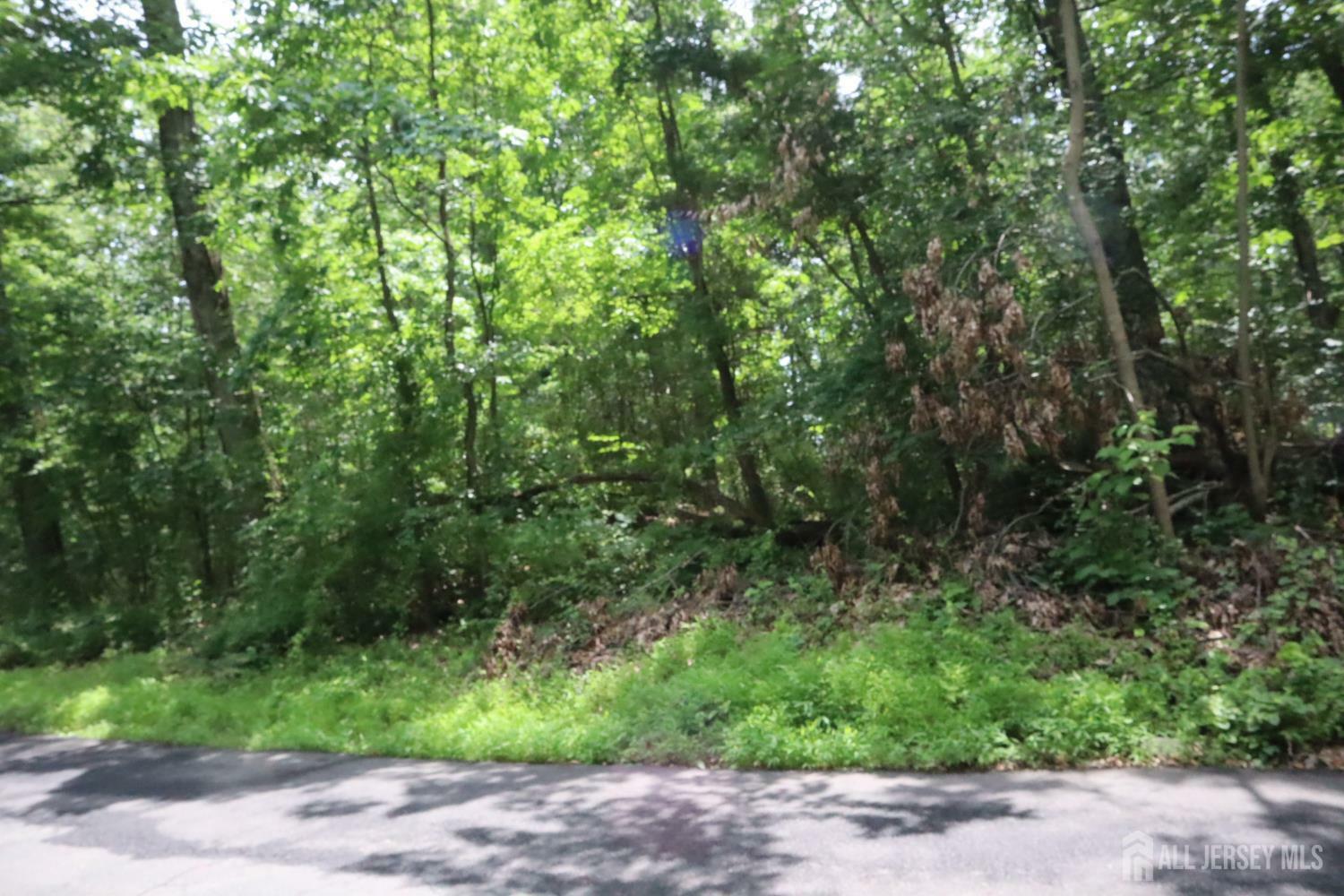 Property Photo: 181 Mountain Road NJ 08551