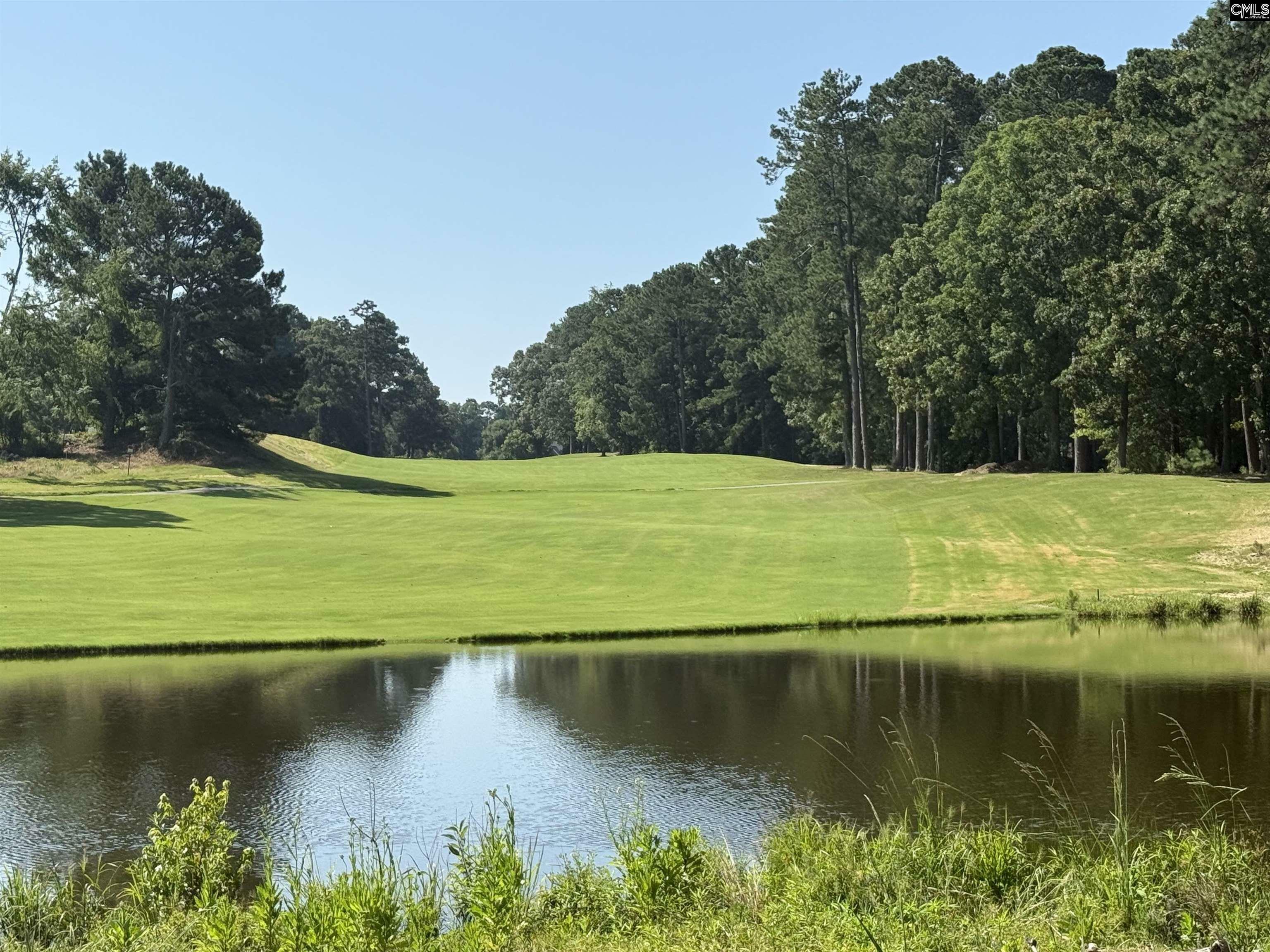 Property Photo: 108 Oak Trace Ct SC 29036