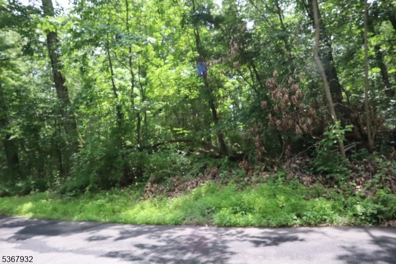 Property Photo: 181 Mountain Road NJ 08551