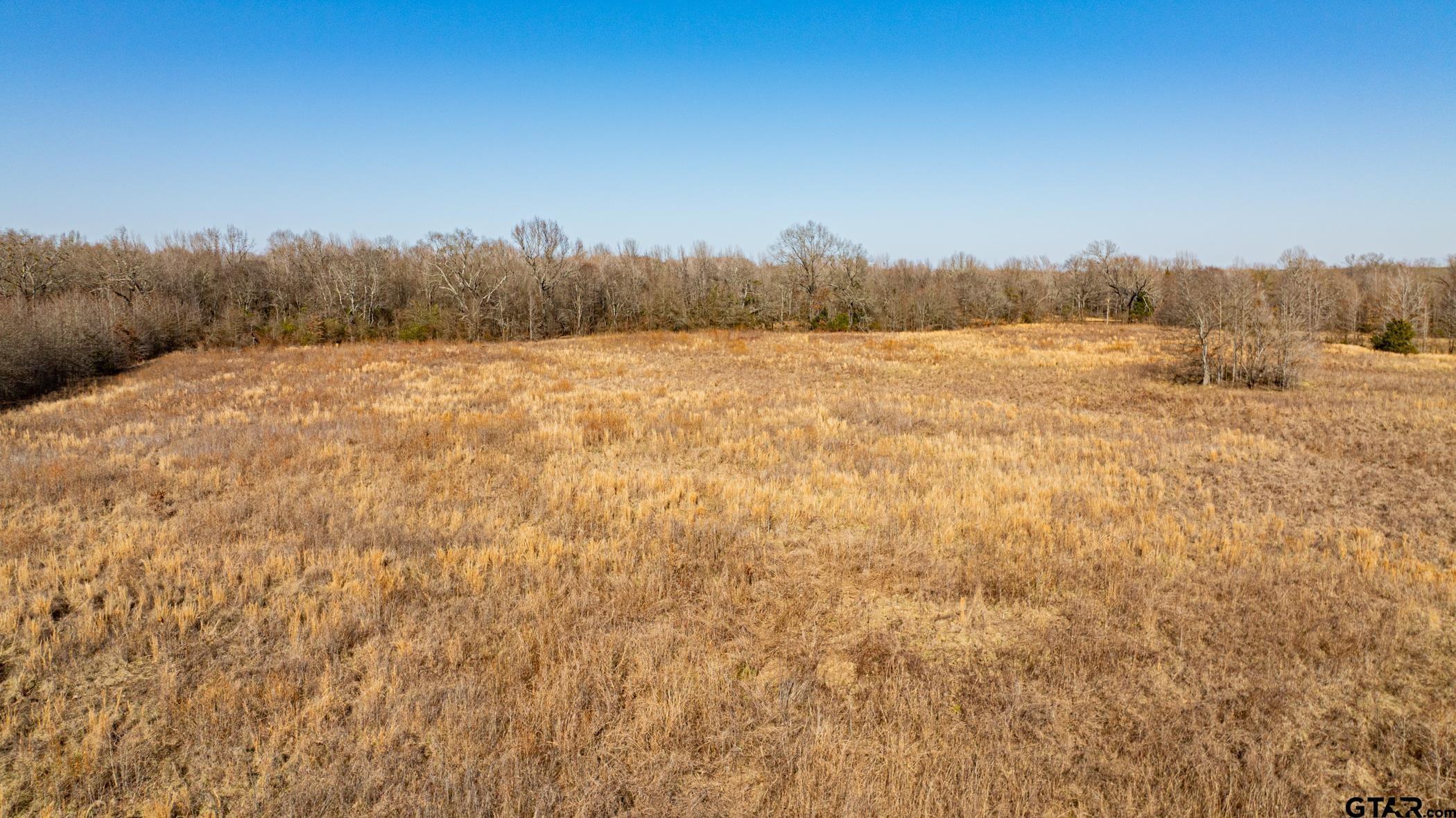 Property Photo: Tbd Cr 4650 TX 75559