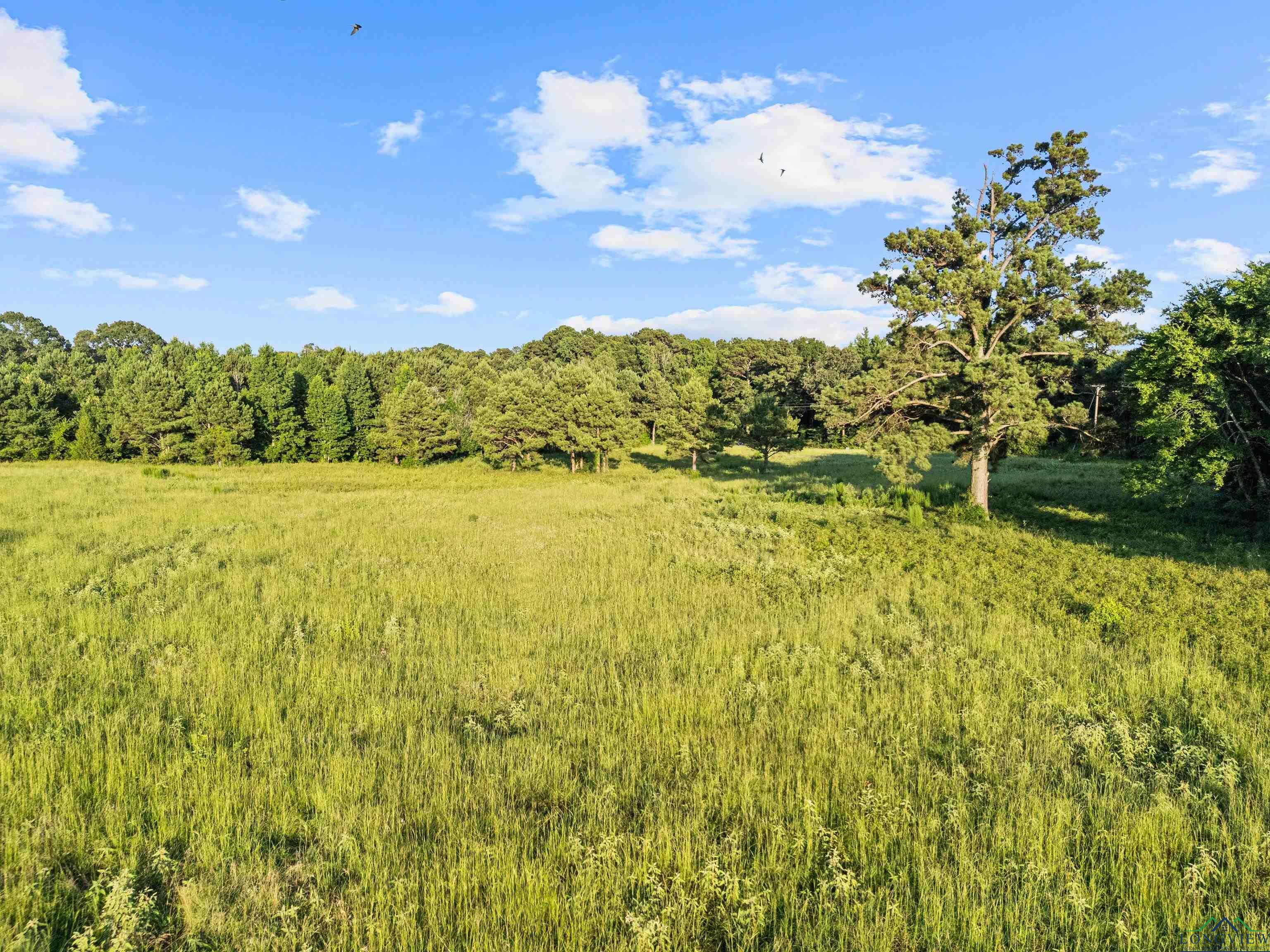 Property Photo:  Tbd Peter Bonner (Tract1)  TX 75650 