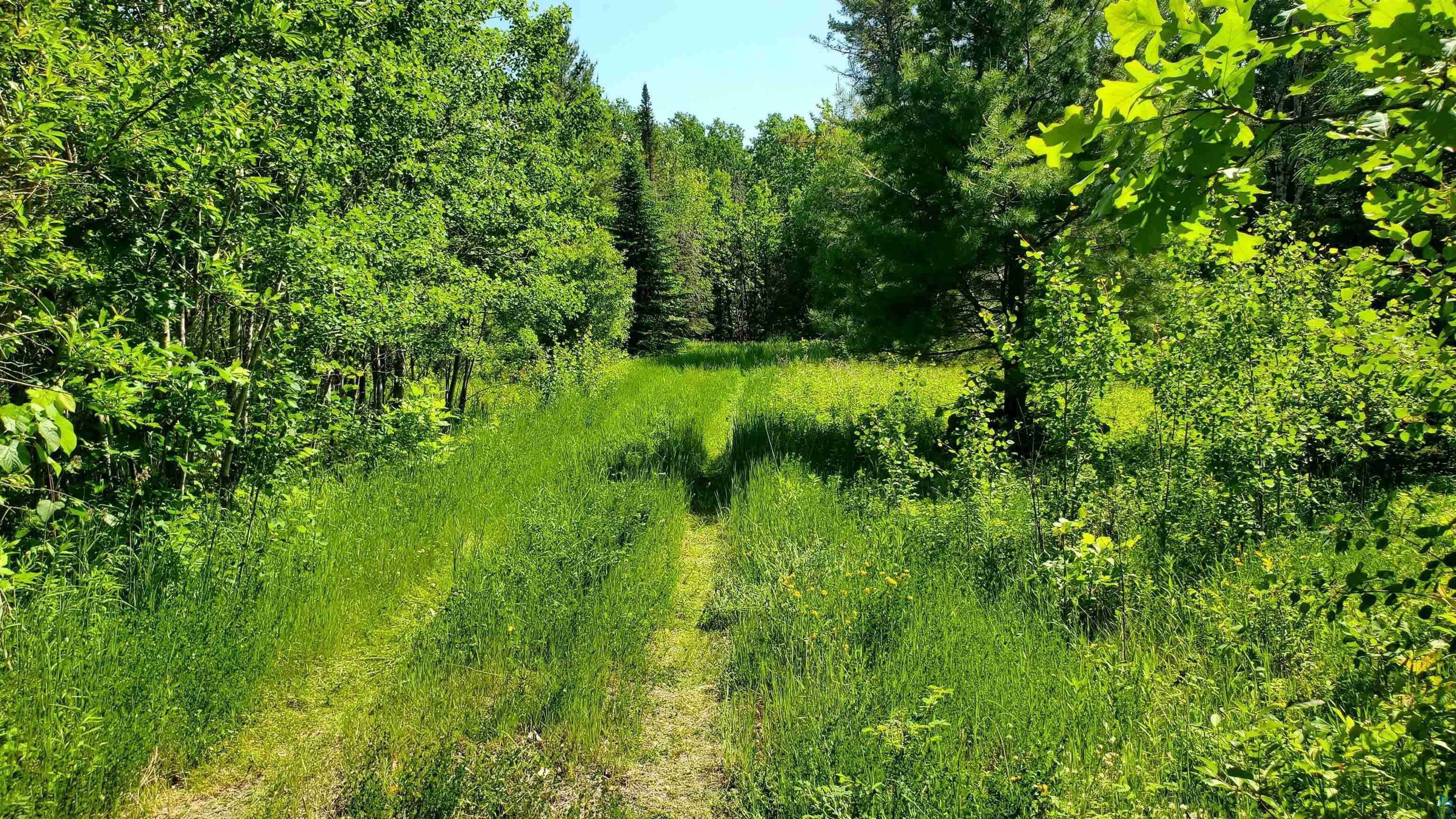 Property Photo: 14206 E County Hwy H WI 54820