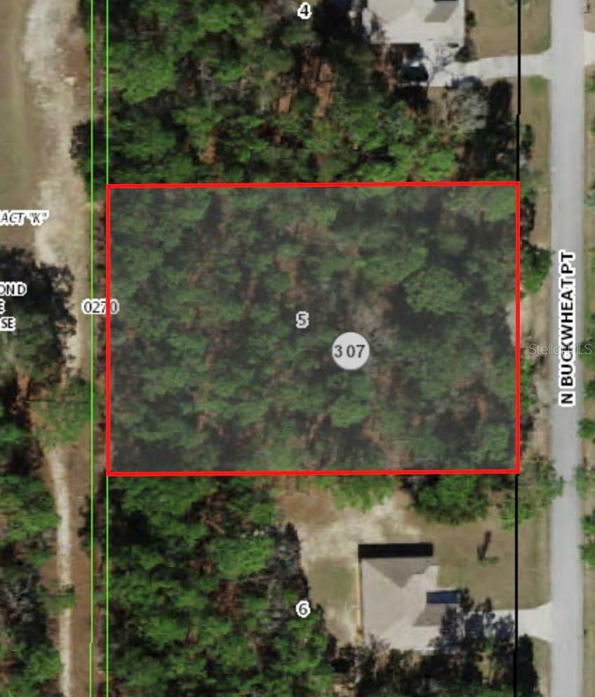 Property Photo: 3916 N Buckwheat Point FL 34465