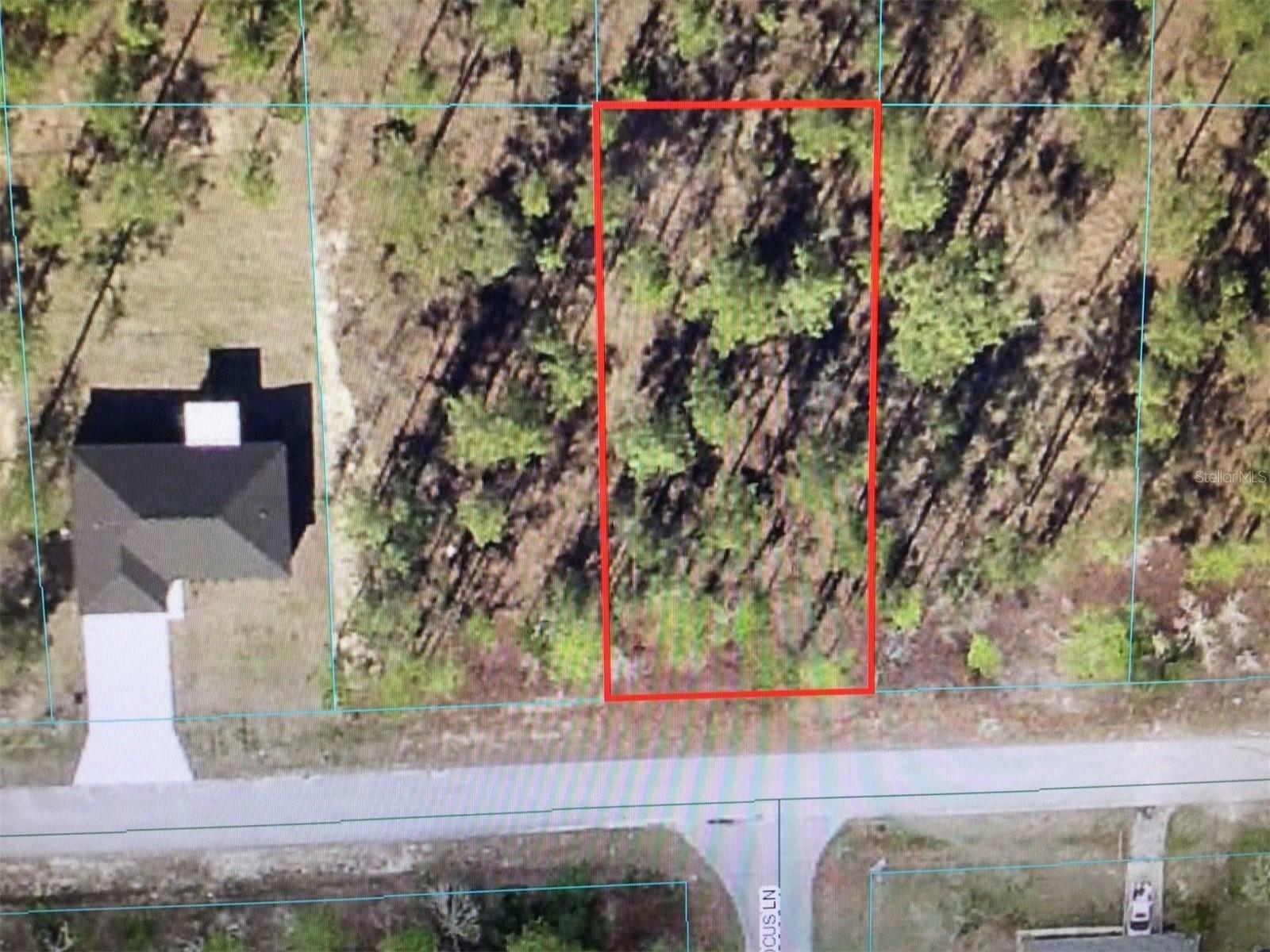 Property Photo:  0 NW Amberjack Avenue  FL 34431 