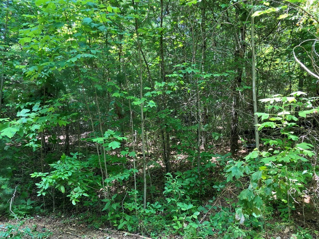 Property Photo: Lot 6&Amp7 View Ridge Trail NC 28906