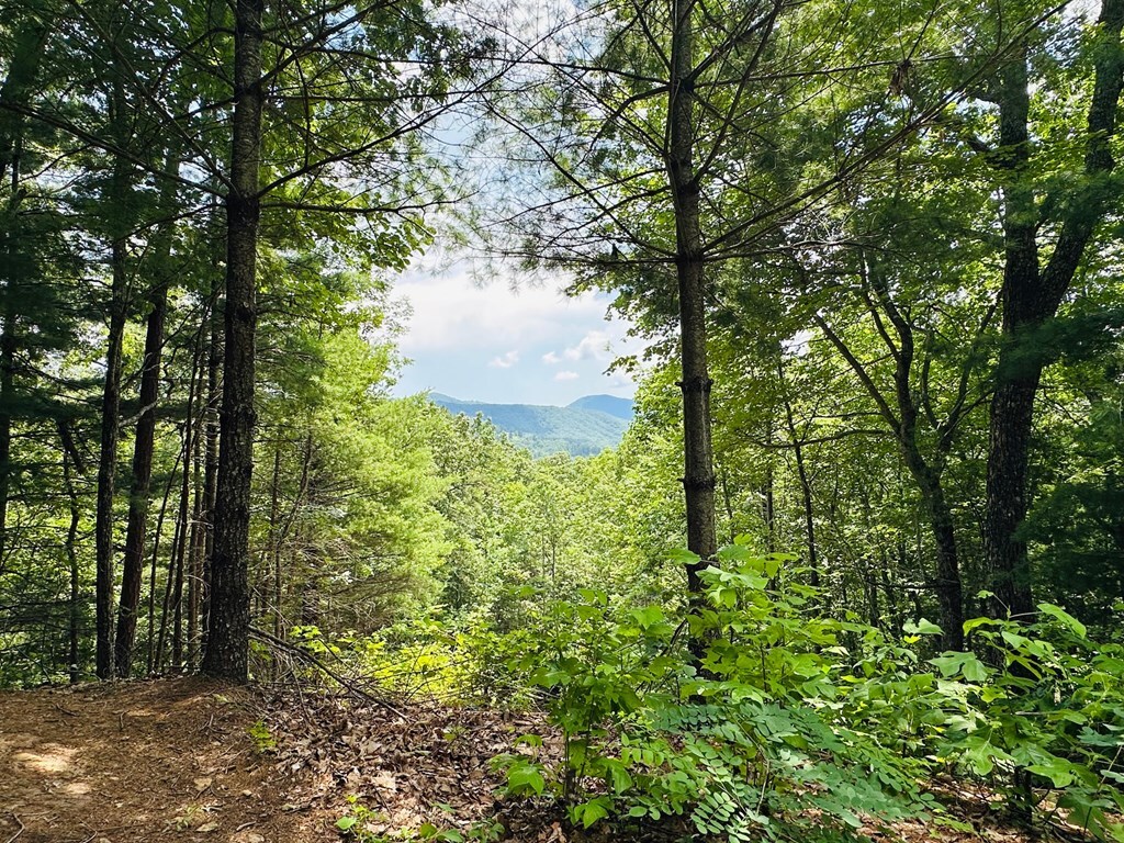 Property Photo: Lt 15 View Ridge Trail NC 28906