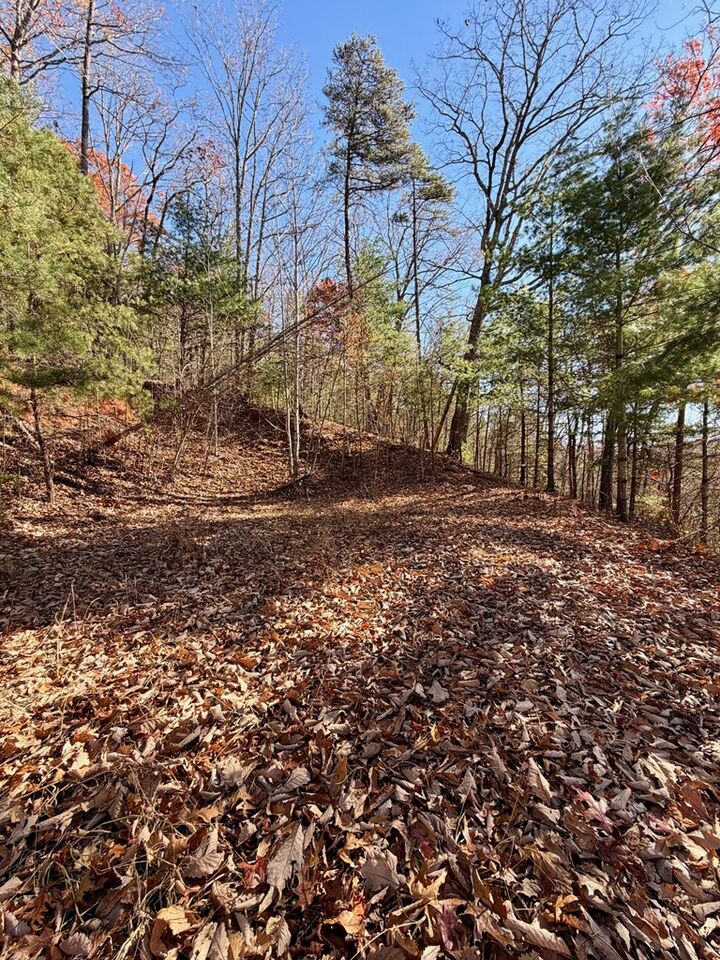 Property Photo: Lot #15 View Ridge Trail NC 28906
