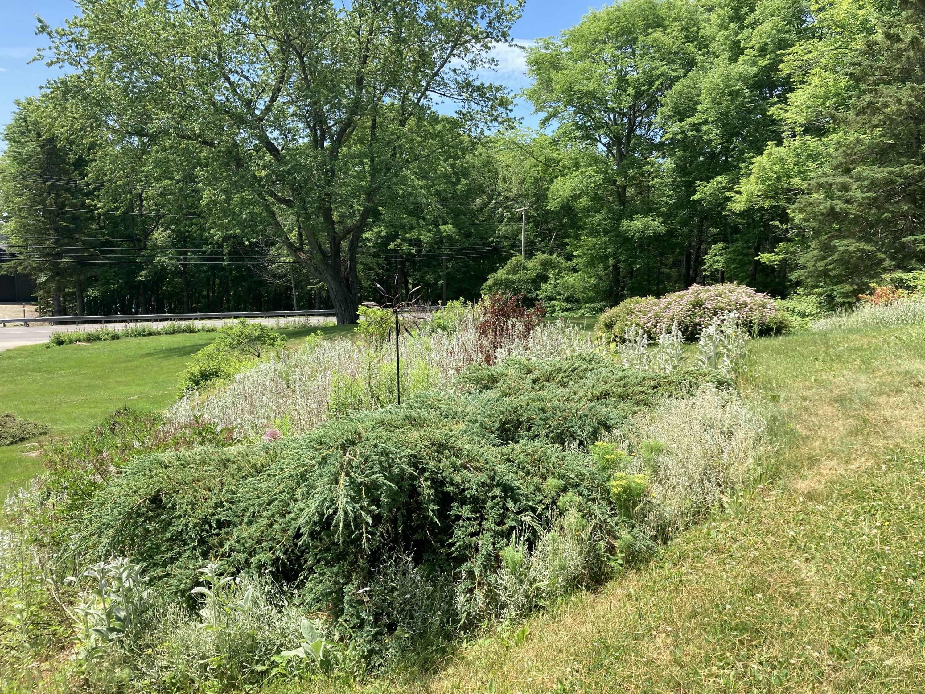 Property Photo: 969 Surry Road ME 04684