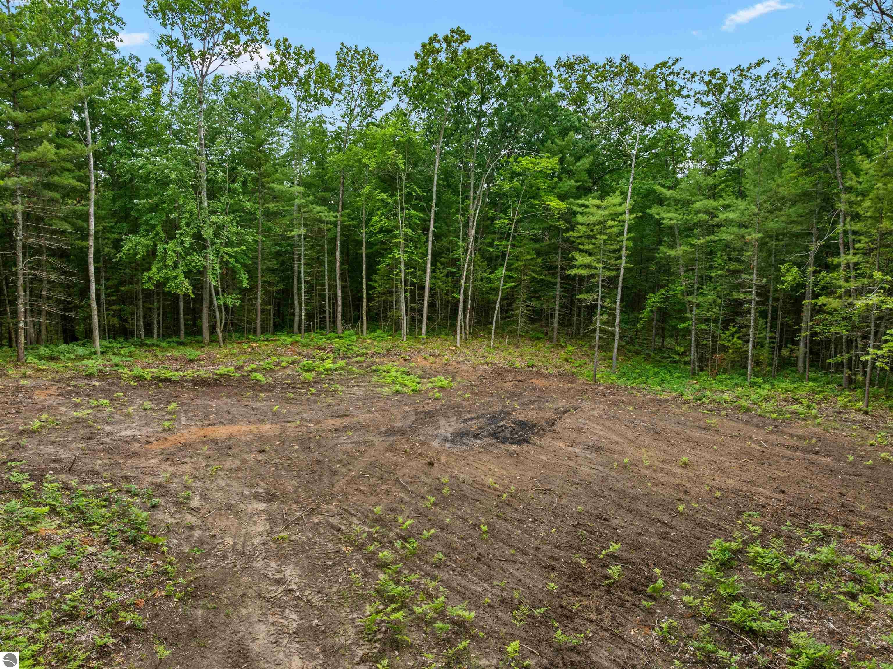 Property Photo: 0 V/L Albrecht Road MI 49643