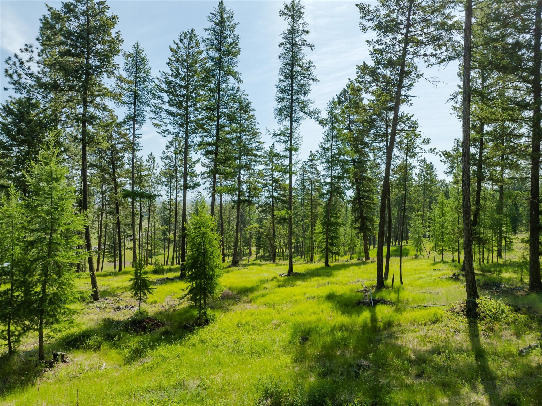 Property Photo:  Nhn Northern Larch Trail Lot 61  MT 59901 
